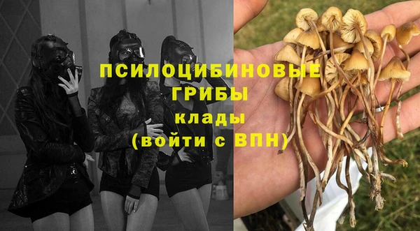 СК Касимов
