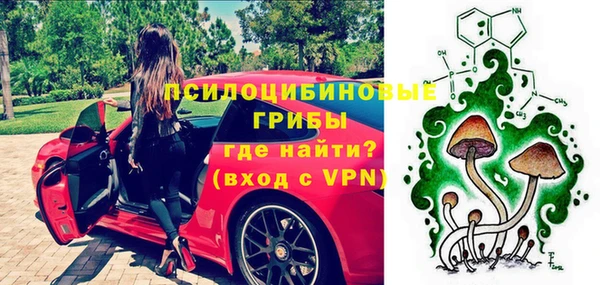 сатива Волосово