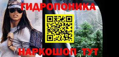 эйфоретик Дубна