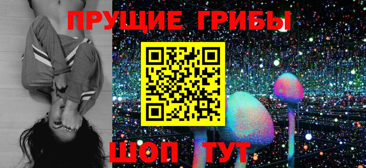 Галлюциногенные грибы MAGIC MUSHROOMS  Вход с VPN  Нурлат  Псилоцибиновые грибы Magic Shrooms 