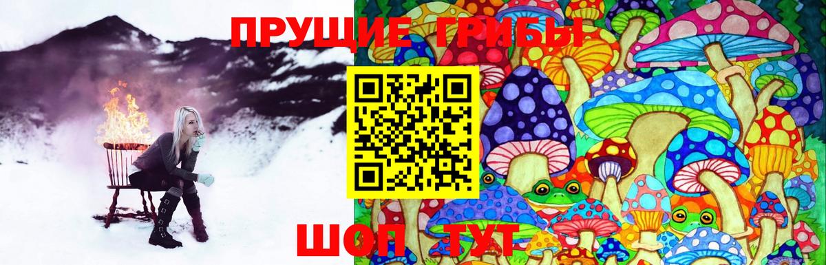 Псилоцибиновые грибы ЛСД Нурлат