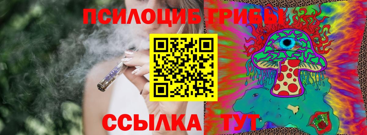 Псилоцибиновые грибы ЛСД  даркнет сайт  Нурлат 